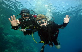 Ultimate diving Tour